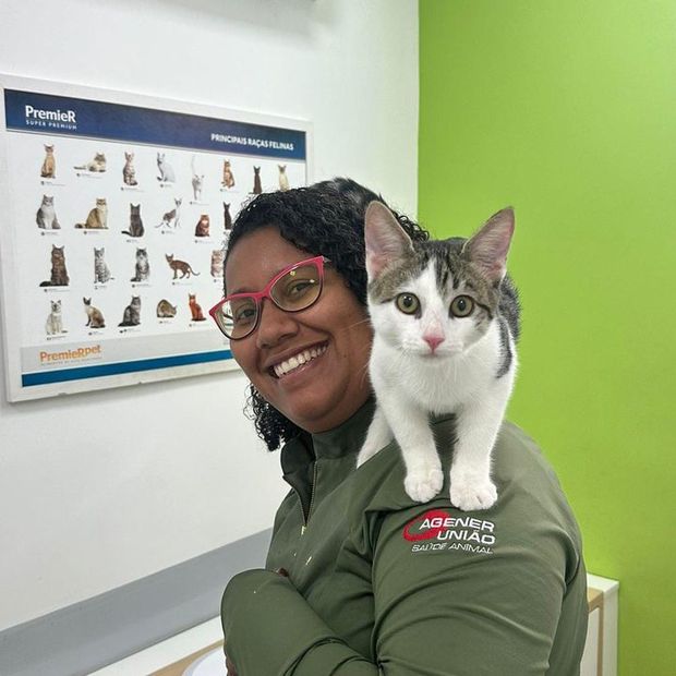 Filhote de gato no ombro de uma profissional da Miauz