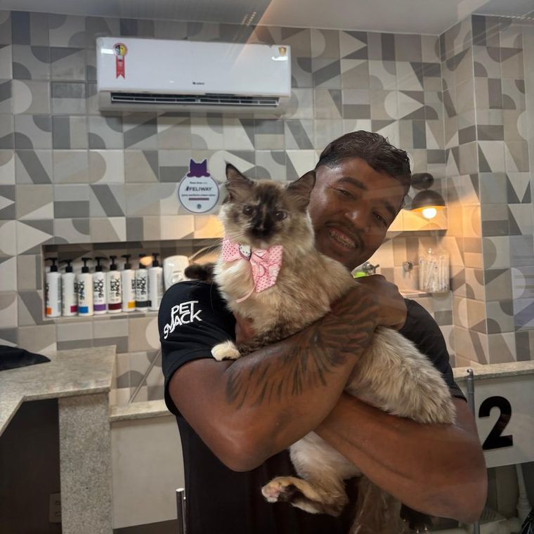 Tio Léo, tosador da Miauz, com um gato no colo dentro do cat salão