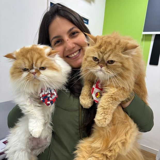Veterinária da Miauz com dois gatos persas no colo