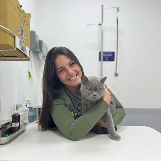 Veterinária Sarah Menezes, da Miauz, com um gato British Shorthair